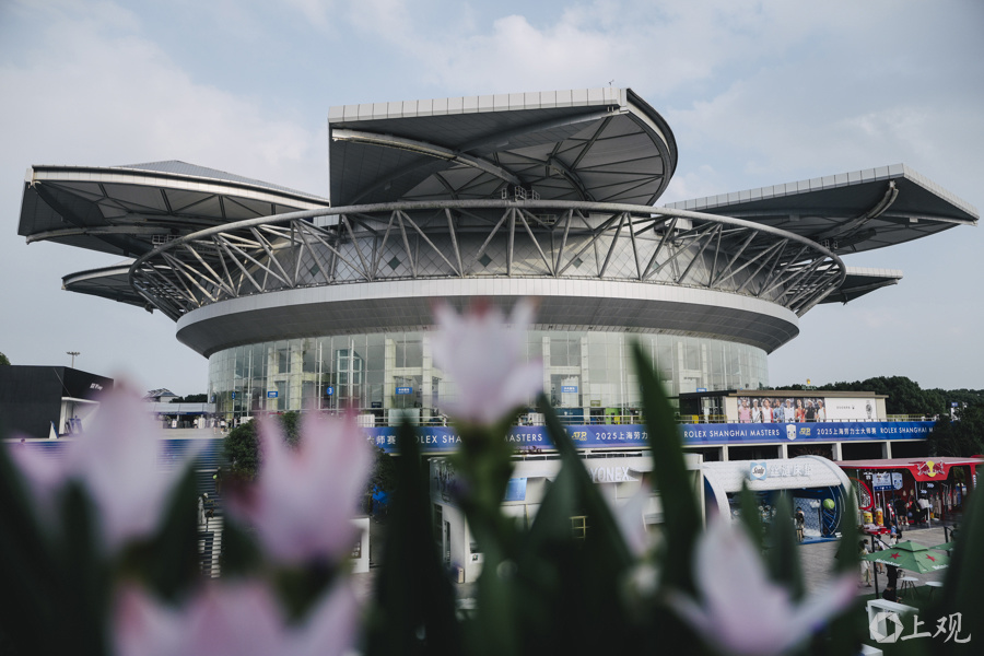 比去年翻倍, psfvn, 越多外国选 比去年翻倍, psfvn, 越多外国选