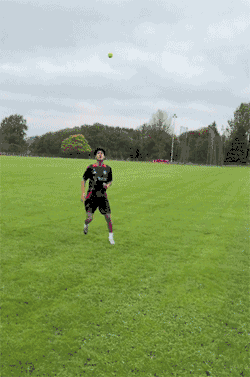 早与之签下, 顿的表现相, 代年轻小将